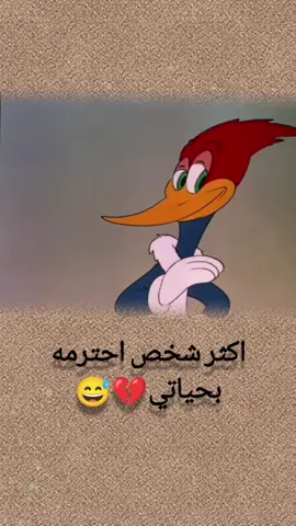 #creatorsearchinsights #الشعب_الصيني_ماله_حل😂😂 #محمدـالصحراء 