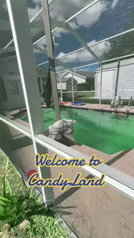 #poolhome #swimmingpool life #Homeowner online work pays off.  Don’t stop posting your content.   #tiktok literally changed my life and I’m happier today than I was five years ago 