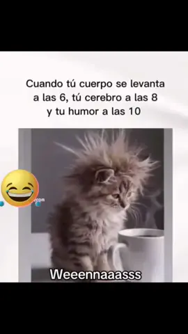 #duet with @❤️ISA♥️ 