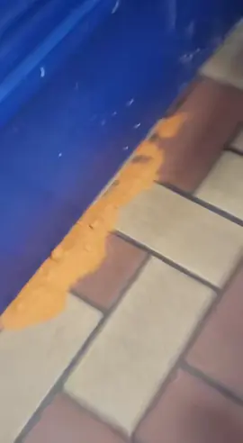 It be like that most days#lovestruckstop #truckstop #aircannon 