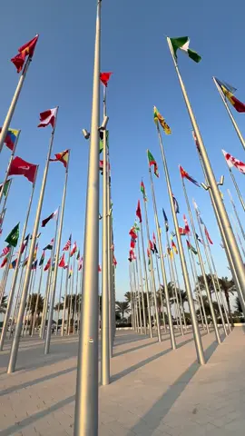 দেশের পতাকা দেখলে ও ভালো লাগে #কাতার_প্রবাসী🇧🇩❤️🇶🇦 #qatar🇶🇦🇧🇩_bangladesh❤️ #foryou 