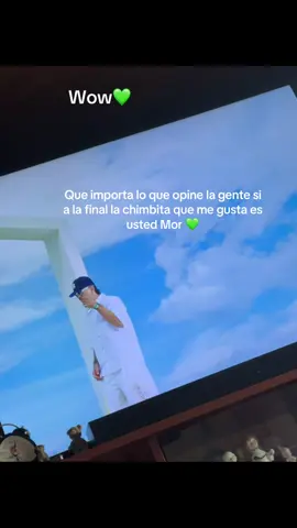 Las otras son regular!!💚#tantochimbiar💚 @Feid 