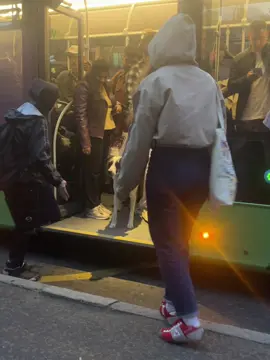 საყვარელი 🥹 #თბილისი #ძაღლი #ავტობუსი 