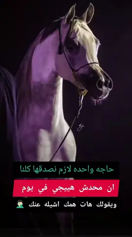 #حركة_إكسبلور #متابعة #اكسبلورexplore #اعادة_النشر🔃 #خيل_وخياله🐎 