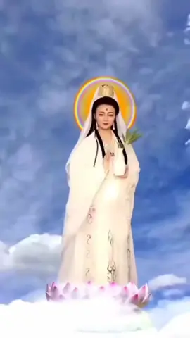 #nammoadidaphat #nammoquantheambotat #xinhthuongniemphat #chaongaymoithu7trandaynangluonnhe#tailocmaymanseden 