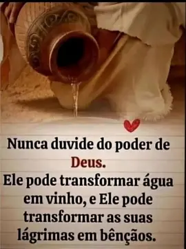 “Um livro que te faz sentir a presença de Deus em cada página. 🌿 Link na bio.”