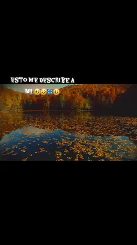 todo es su proceso 🦋🥺🥹❤️🫂 #sermejorpersona #amoadios #dios #calmamiansiedad #fyp 