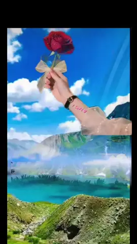 #ስልጤነት_ይላምልም👌 #foryoupage❤️❤️ #viraltiktok 