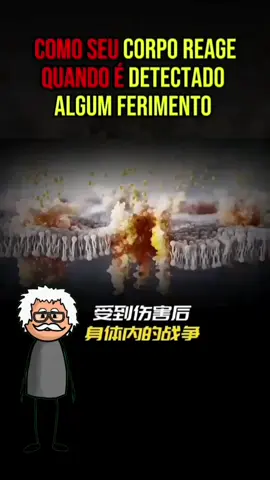 O que acontece com seu corpo quando você se machuca? Neste vídeo tem a resposta! #saúde #machucado #celulas #vidasaudavel #dicasdesaude 