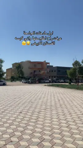 الصدمه اخر شي 😂👻#جامعةالفرات_الاوسط_المعهدالتقني #مالي_خلق_احط_هاشتاقات🧢 #الاجهزة_الطبية #الشعب_الصيني_ماله_حل😂😂 