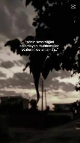 #CapCut #beniöneçıkart #keşvet #şirnaksilopi 