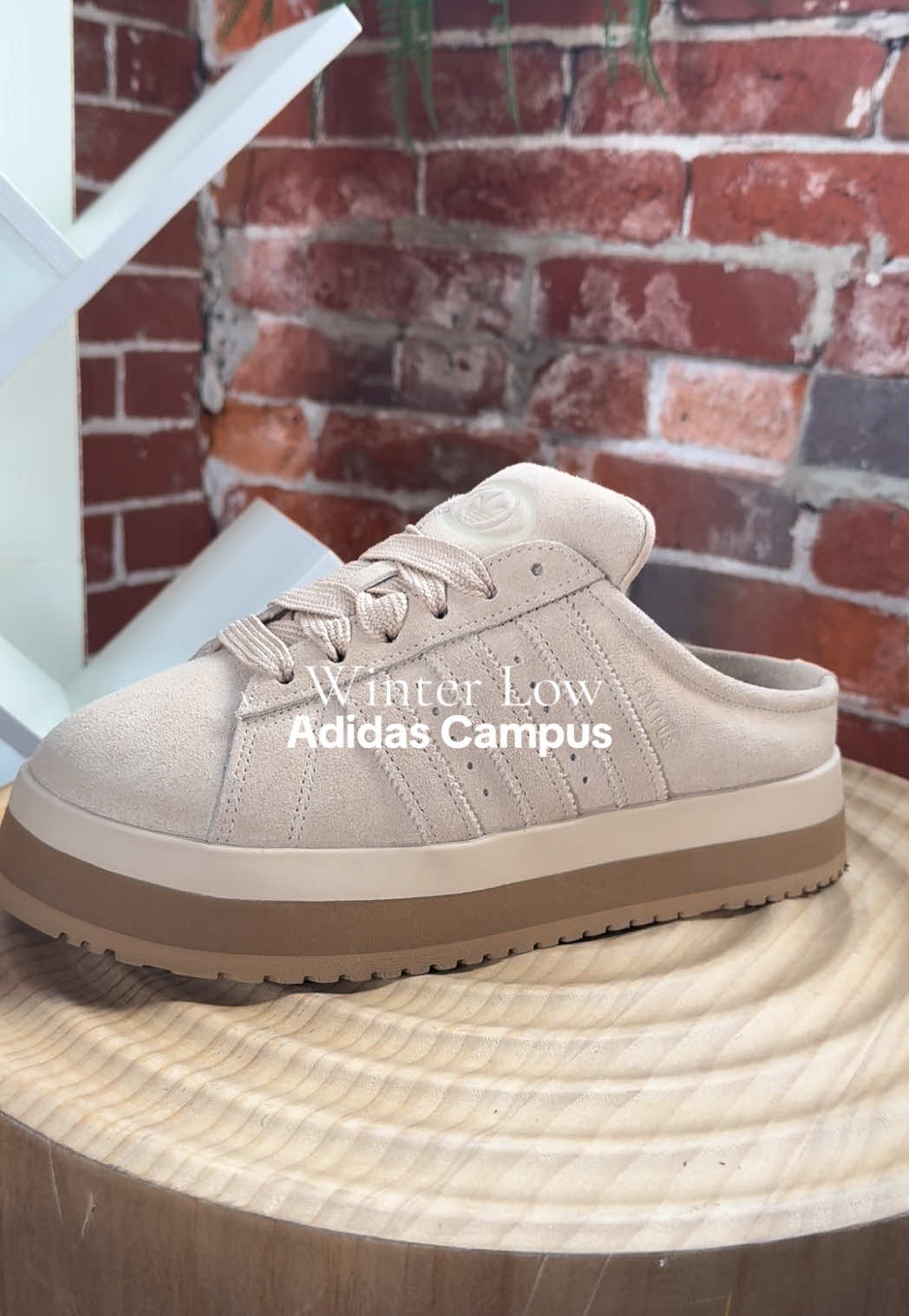 Check for your size #adidas #campus #winterlow #beige 
