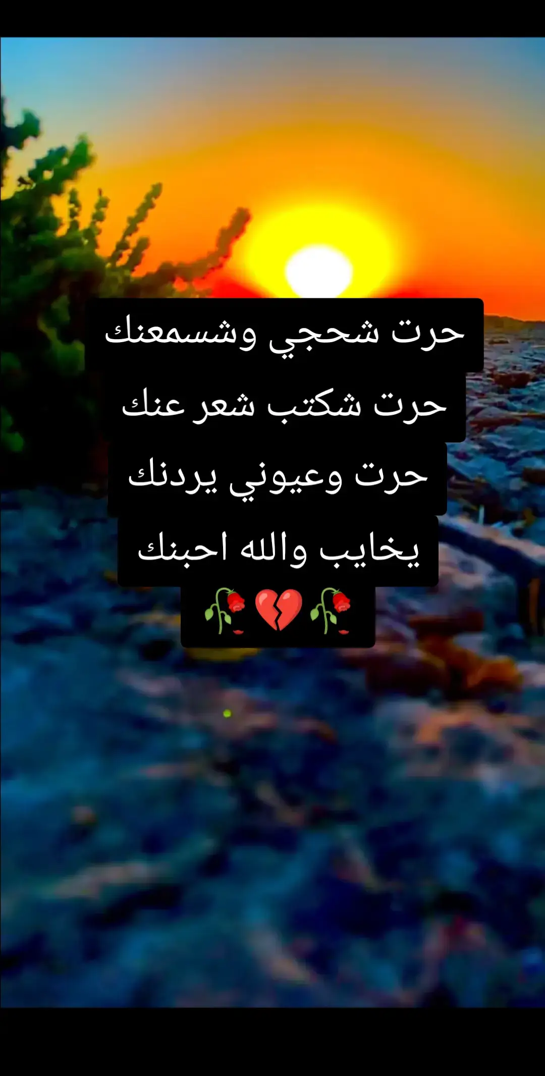 #ذواقين__الشعر_الشعبي #ذواقين__الشعر_الشعبي 
