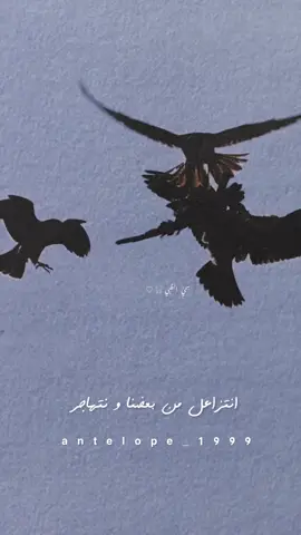#أحلف له بالهجر#تصميمي #إكسبلوررررررر_explore 