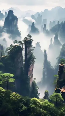 Người thành công không bao giờ ngồi đợi vận may....Họ biết cách tạo ra nó, nắm bắt đúng thời điểm vàng! #suynghitrongtoi #docsachhangngay #doinhanxuthe #mua #tailoc 