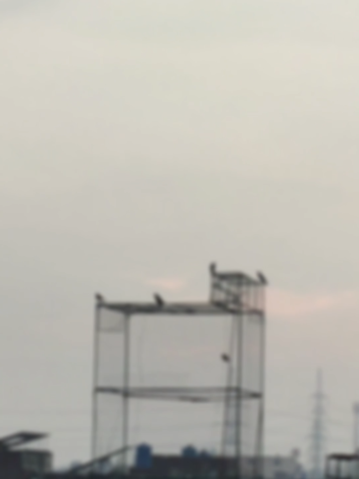 #*آنسوؤں کی ضمانت 🥺#only foryou viralvideo tiktok plzzz#unfrezzmyaccount🥹🙏 #creatorsearchinsights #LearnOnTikTok #foryoupage❤️❤️ 