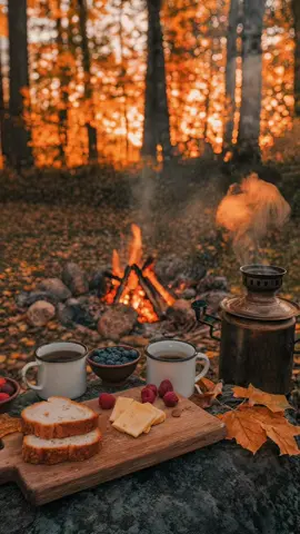 Morning like this is amazing😌🍂 #cozy #vibes #cozycorner #morning #amazing