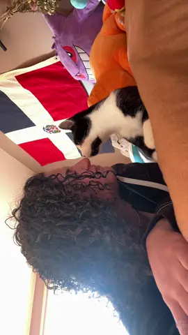 #fyp #foryou #foryoupage #explorer #explorepage✨ 