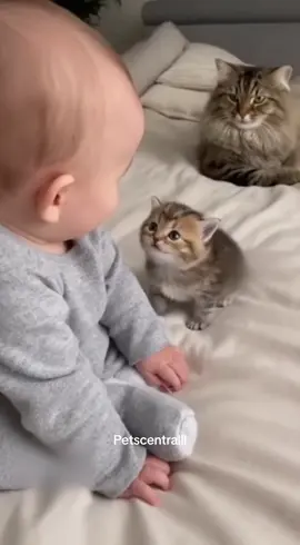 Baby and a Kitten Having the Cutest Conversation Ever 😍🐱👶#cute #baby #funny #fyp 