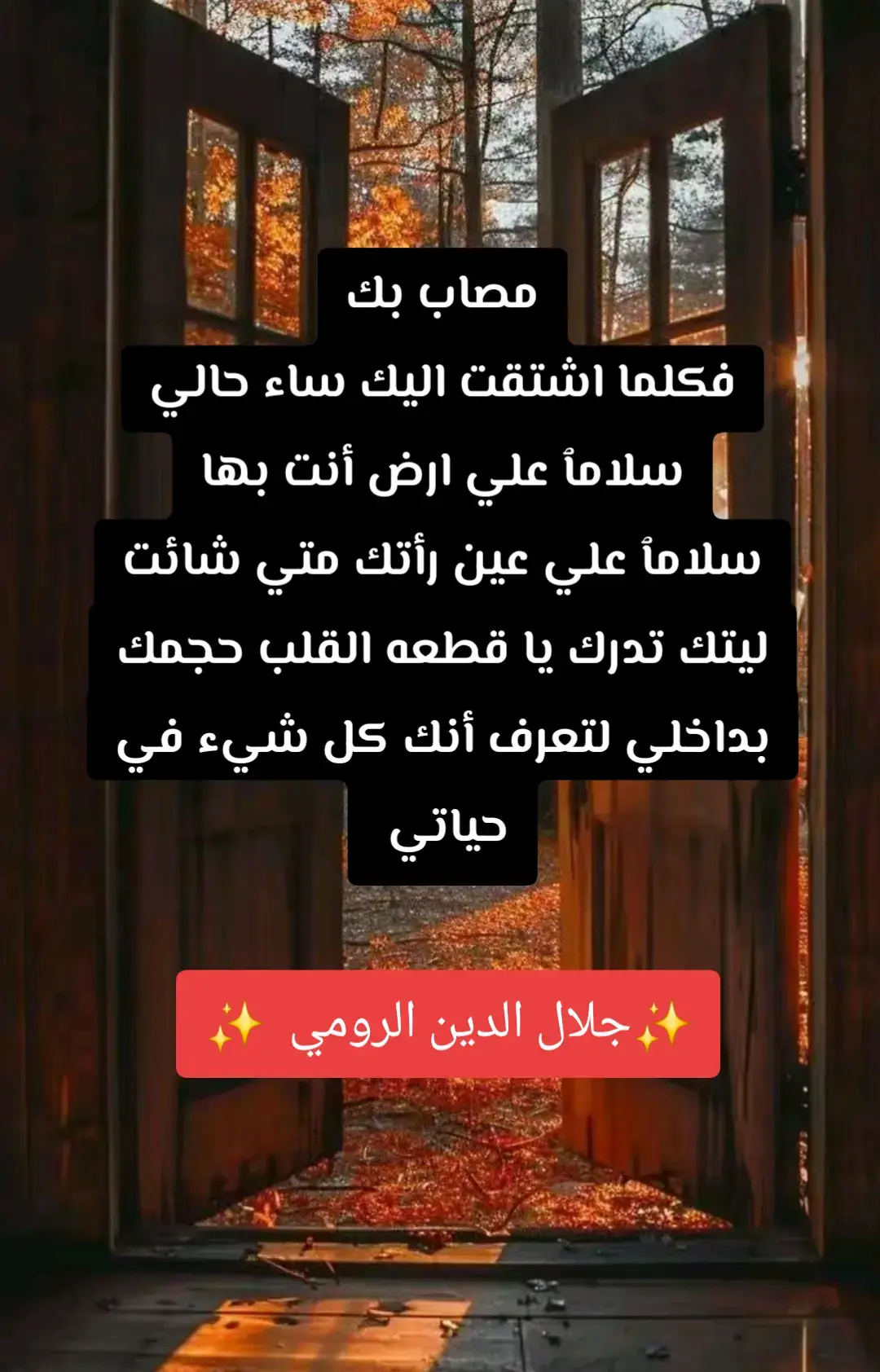 #روح #جلال_الدين_الرومي #شمس_الدين_التبريزي 