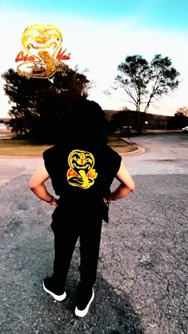 Halloween costumes @The Galaxy Connection museum #cobrakai #karatekid #costume 