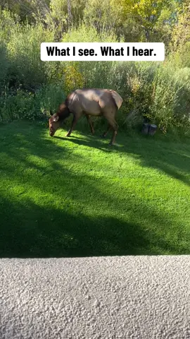 😂🤭😜 #pov #kickinwithkelly 