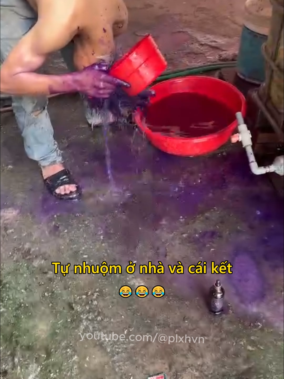 Tự nhuộm ở nhà và cái kết 😂 #nghean #chuyenla #nhuomtoc #lamdep #tretrau #haihuoc #vuive #docla #plxhvn #phapluatxahoi
