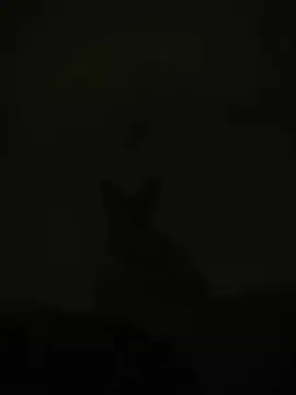 F NAME VIDEO #foryoupage  #viralvideo #trending #fypシ 