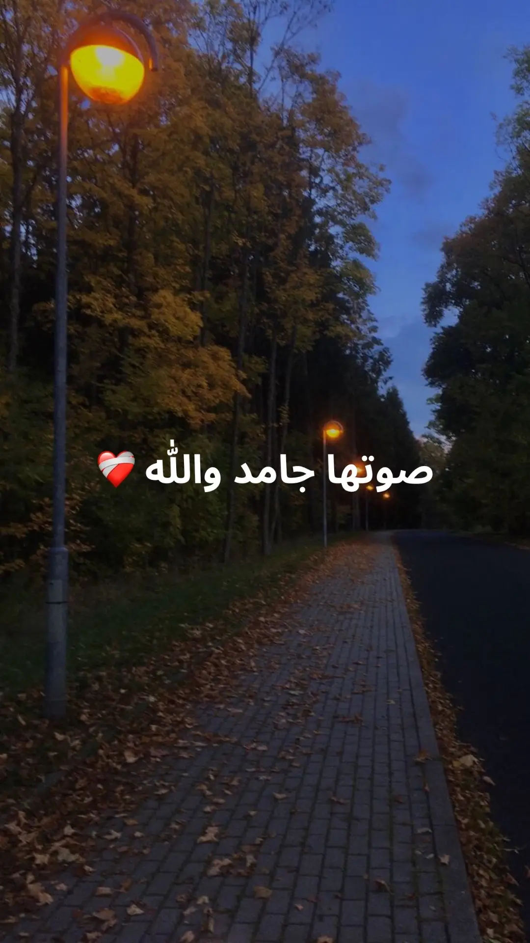 @جويلي #كان_ياما_كان #صوتها_روعه #اغاني_مسرعه💥 #اغاني_بدون_موسيقى #بدون_موسيقي 