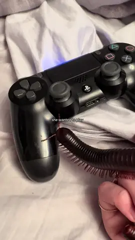 she’s playing ark survival evolved #arthropod #exoticpets #millipede #millipedesoftiktok #bugs 