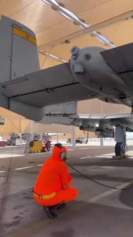 The Lorax Launches an A-10  #usaf #military #a10 #airforce #arizona 