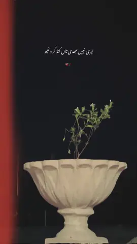 مجبوری اے تیری ٹھیک اے ❤️‍🩹🥀 #strollwithunknown #lines #fyp #meesumkhokharpoetry #viralvideos 