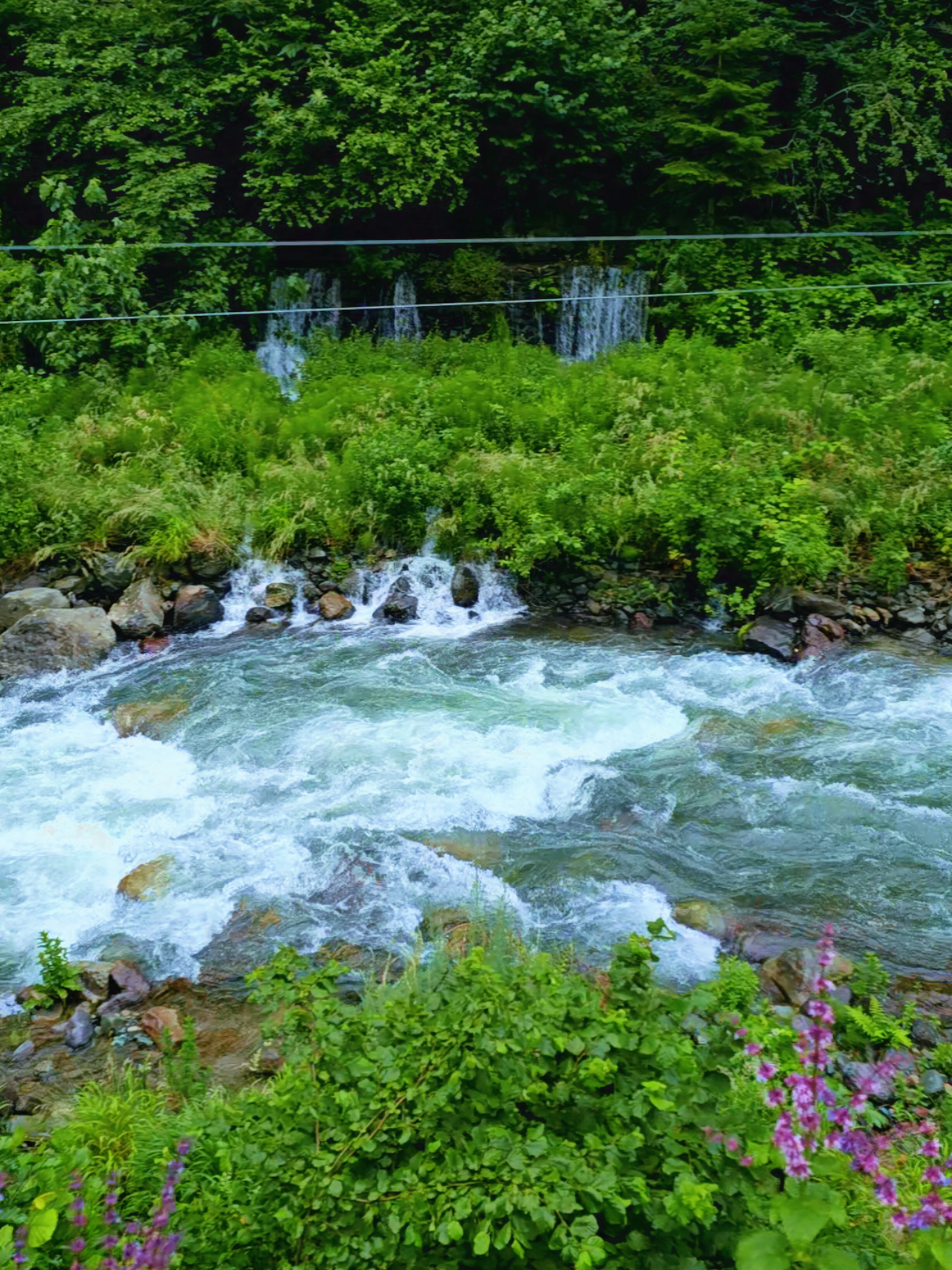 طريق ديمر كابي #ديمركابي #مرتفعات_الشمال_التركي #طربزون_اوزنجول #تركيا #اكسبلور 