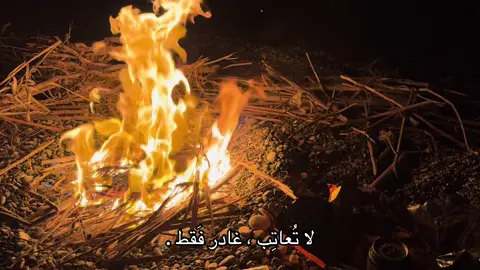 #محمد241 #explor #foryou #fyp #funny 