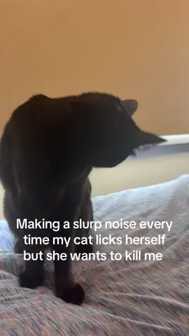 This thing hates me!!!!