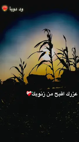 عزرك اقبح من زنوبك #❤️‍🩹