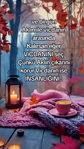 #######keşfet #####tiktok ####öneçıkar 
