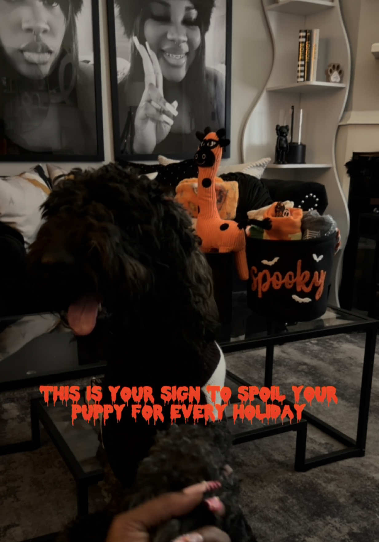 this is your sign to spoil your fur buddy every holiday 🐕‍🦺🐾🎃🪞🫧 how many of you have fur buddies ??? if you do drop their name in the comment section w a picture or selfie 🫶🏽 we love a good BOO BASKET 🎃👻