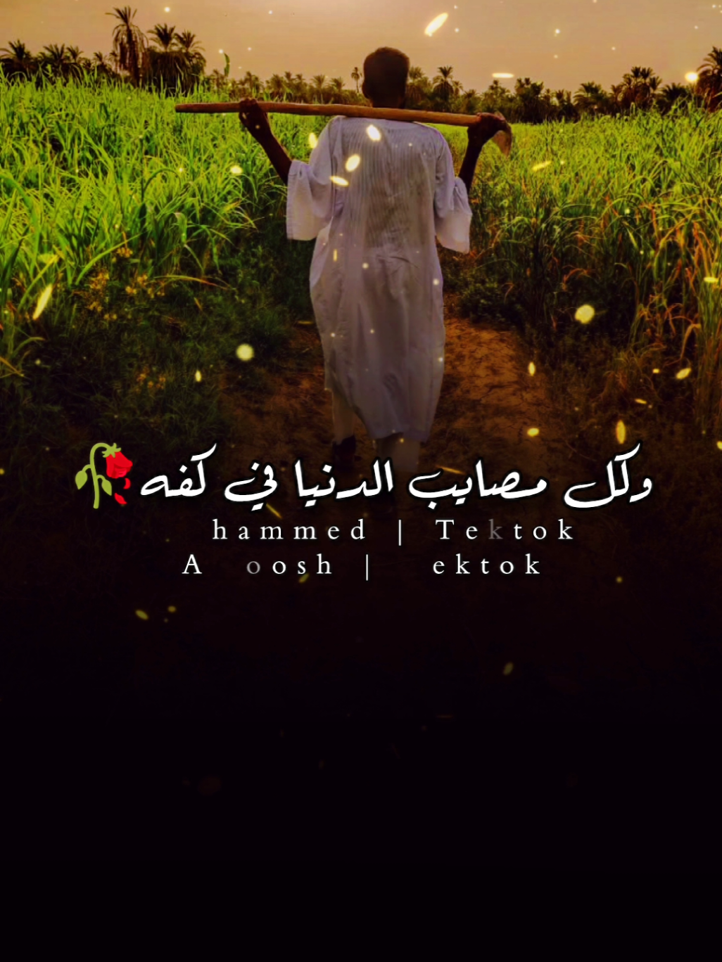 برنامج#سهر_القوافي_حلقه (23) خش الحساب واستمتع وماتنسا المتابعه ❤️  #مشاهير_تيك_توك_مشاهير_العرب  #تصميماتـعموش #لايكات #اكسبلور 