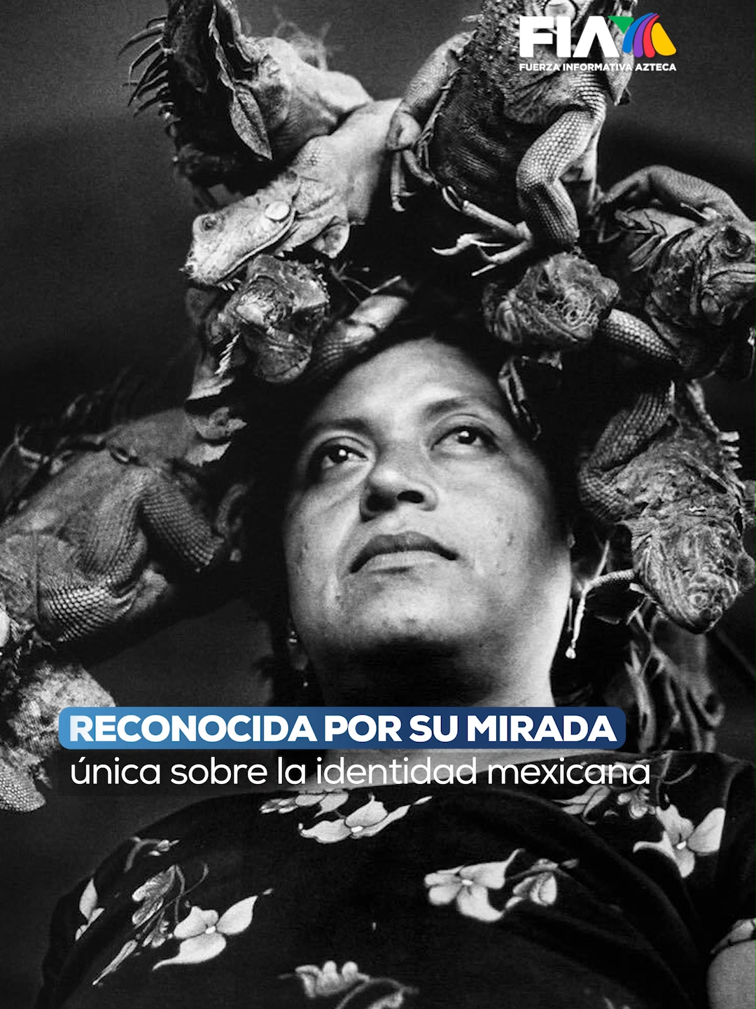 La fotógrafa originaria de #México, #GracielaIturbide, fue honrada con el reconocimiento en el ámbito de las #Artes, una de las ocho esferas que abarcan estos galardones. Su trabajo fotográfico ha sido aclamado por su profunda capacidad para capturar la esencia de la humanidad a través de composiciones visuales rebosantes de significados y símbolos. La propia artista ha compartido una muestra de sus emblemáticas creaciones con el público. #fotografía #FIA #AztecaNoticias #Noticias #TiktokInforma #TikTokMeHizoVer