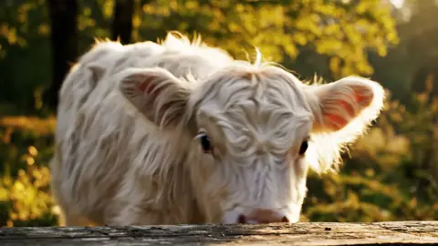 #growmyaccount #viralvideo #fyp #foryou #foryou 