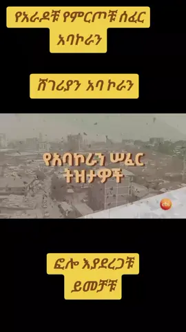 #tiktoknewfeatures #ethiopian_tik_tok🇪🇹🇪🇹🇪🇹🇪🇹 #creatorsearchinsight #fyppppppppppppppppppppppp #tiktoknewfeature 