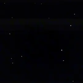 ...رقص زیبای شیر بچهٔ هزاره، موزه‌موزه   #CapCut #viral #dance #trending #fyp 