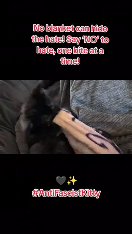 #foryourpage #fyp #indivisible #buildtheresistance #unity Anti-fascist Kitty says say 'NO!' FORGET YOUR REPUTATION, THEY SURE DID!! 
