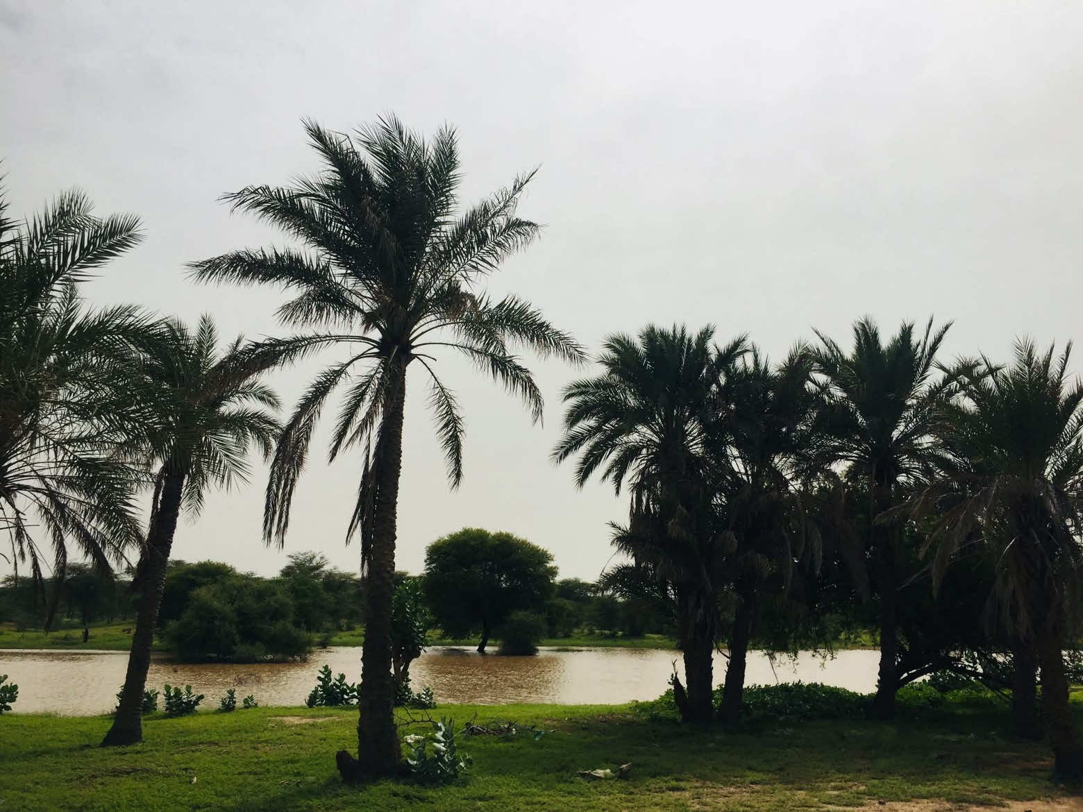 ##الشعب_الصيني_ماله_حل😂😂 #♥️♥️♥️♥️ #التاي #2025 #لاه كيس بعد راني 