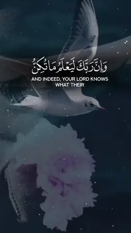 🌿✨️قرآن كريم ✨️🌿 