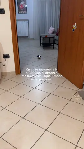 Scherzi a parte, è stata la cosa migliore che potessi prendere da quando mia sorella si è trasferita dall’altra parte del mondo. Ora la sentiamo un po’ meno lontana🥹 (e può importunarci ogni volta che vuole 😂) @Enabot #enabot 