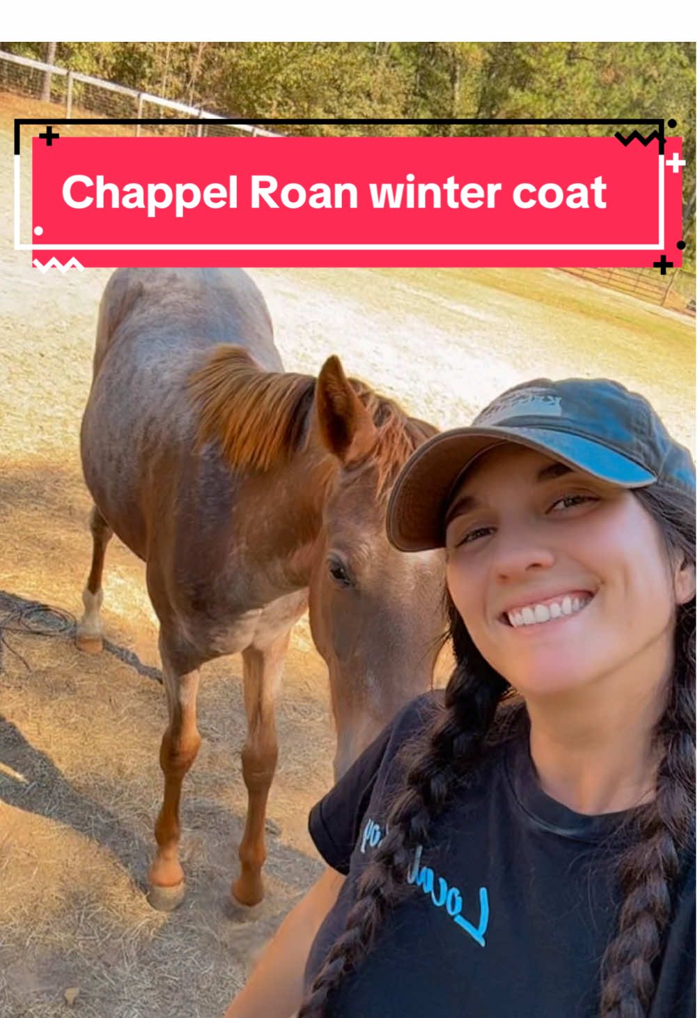 Did y’all miss seeing Chappel on your for you page? #horse #foal #equestrian #horsegirl #cowgirl 
