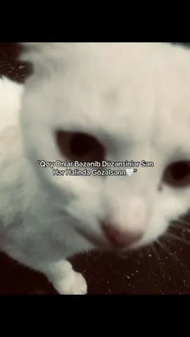 Gözəlivi etiketle🤭