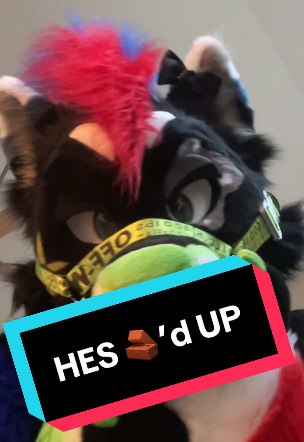 What happened to bro? Happy fursuit Friday!! #furry #trending #fursuit #fursuiter #furryfandom 